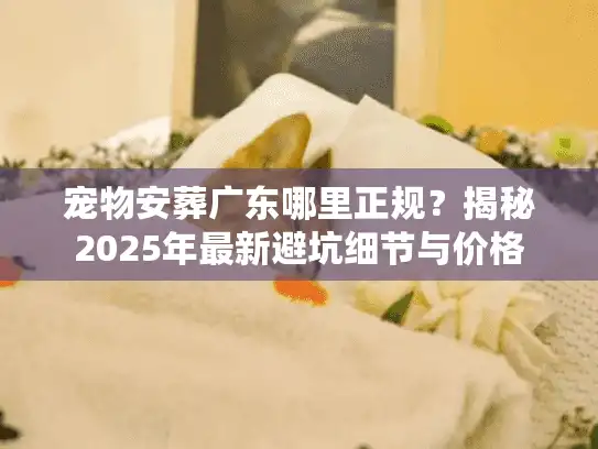 宠物安葬广东哪里正规？揭秘2025年最新避坑细节与价格