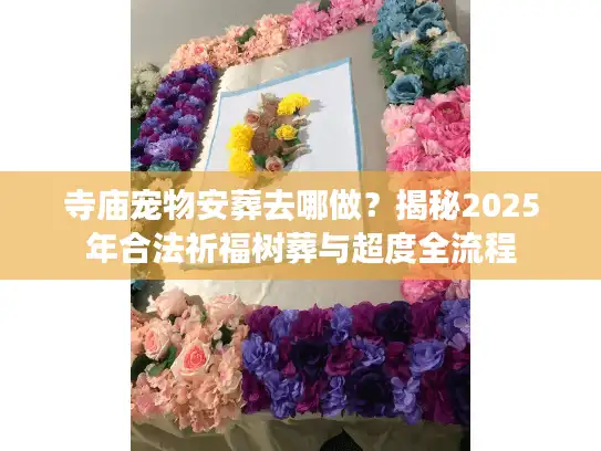 寺庙宠物安葬去哪做？揭秘2025年合法祈福树葬与超度全流程