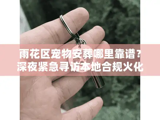 雨花区宠物安葬哪里靠谱？深夜紧急寻访本地合规火化全流程