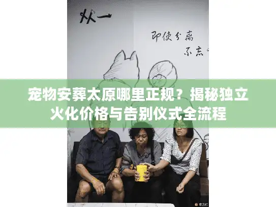 宠物安葬太原哪里正规？揭秘独立火化价格与告别仪式全流程