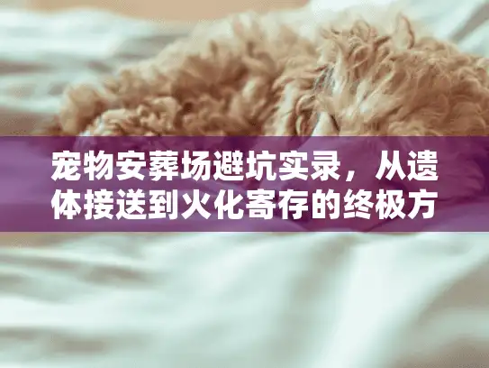 宠物安葬场避坑实录，从遗体接送到火化寄存的终极方案