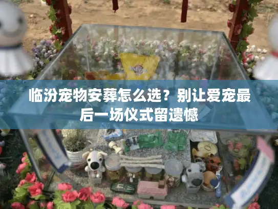 临汾宠物安葬怎么选？别让爱宠最后一场仪式留遗憾