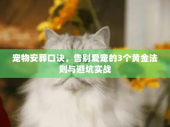 宠物安葬口诀，告别爱宠的3个黄金法则与避坑实战