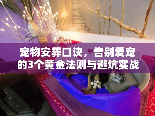 宠物安葬口诀，告别爱宠的3个黄金法则与避坑实战