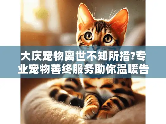 大庆宠物离世不知所措?专业宠物善终服务助你温暖告别