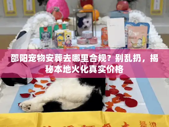 邵阳宠物安葬去哪里合规？别乱扔，揭秘本地火化真实价格