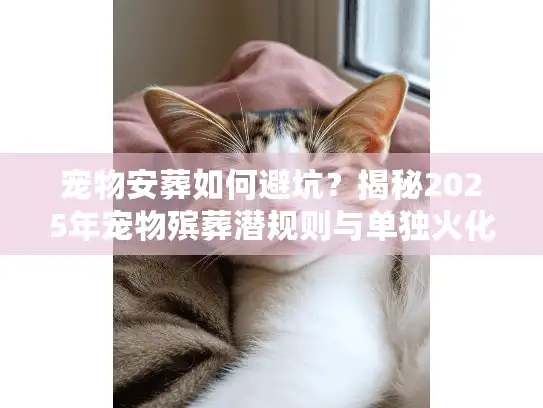 宠物安葬如何避坑？揭秘2025年宠物殡葬潜规则与单独火化门道