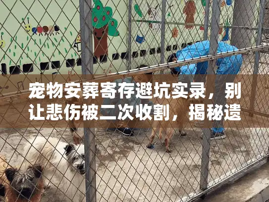 宠物安葬寄存避坑实录，别让悲伤被二次收割，揭秘遗体无害化处理内幕