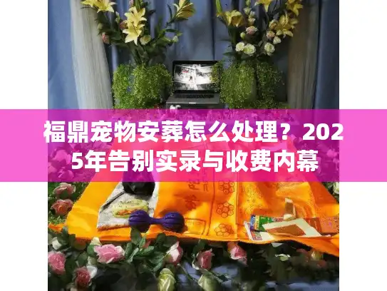 福鼎宠物安葬怎么处理？2025年告别实录与收费内幕