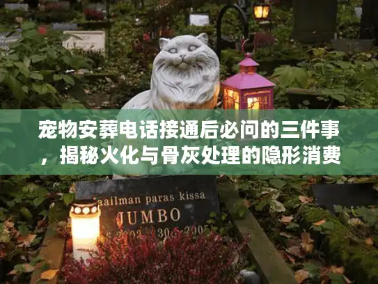 宠物安葬电话接通后必问的三件事，揭秘火化与骨灰处理的隐形消费