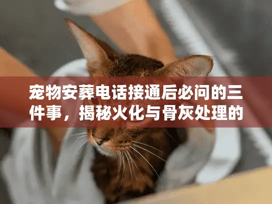 宠物安葬电话接通后必问的三件事，揭秘火化与骨灰处理的隐形消费
