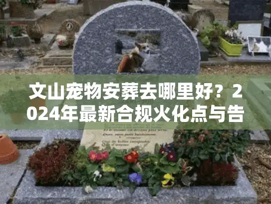 文山宠物安葬去哪里好？2024年最新合规火化点与告别仪式解析