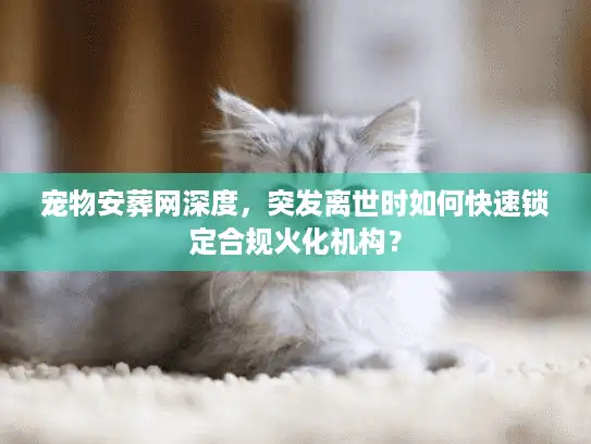 宠物安葬网深度，突发离世时如何快速锁定合规火化机构？