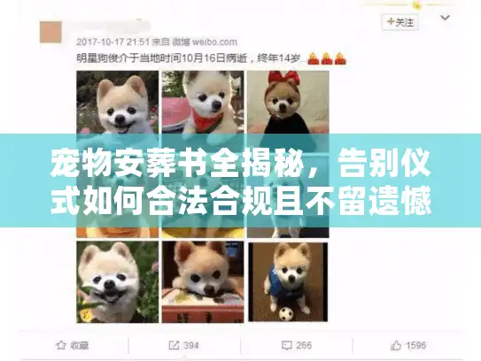 宠物安葬书全揭秘，告别仪式如何合法合规且不留遗憾？