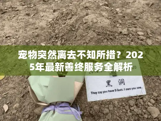 宠物突然离去不知所措？2025年最新善终服务全解析