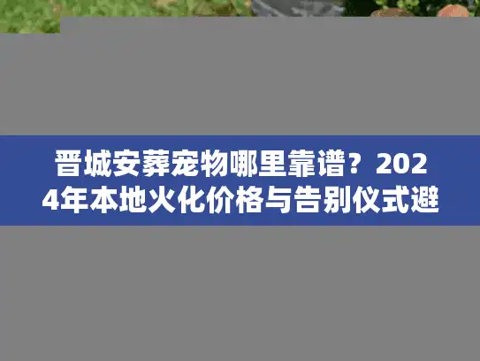 晋城安葬宠物哪里靠谱？2024年本地火化价格与告别仪式避坑