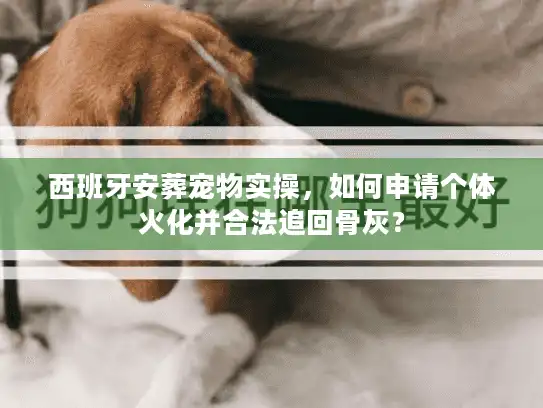 西班牙安葬宠物实操，如何申请个体火化并合法追回骨灰？