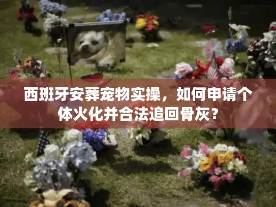 西班牙安葬宠物实操，如何申请个体火化并合法追回骨灰？