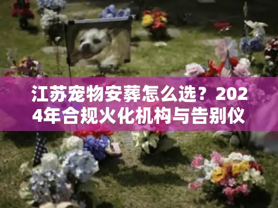 江苏宠物安葬怎么选？2024年合规火化机构与告别仪式实况