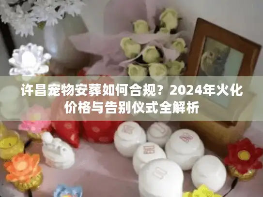 许昌宠物安葬如何合规？2024年火化价格与告别仪式全解析