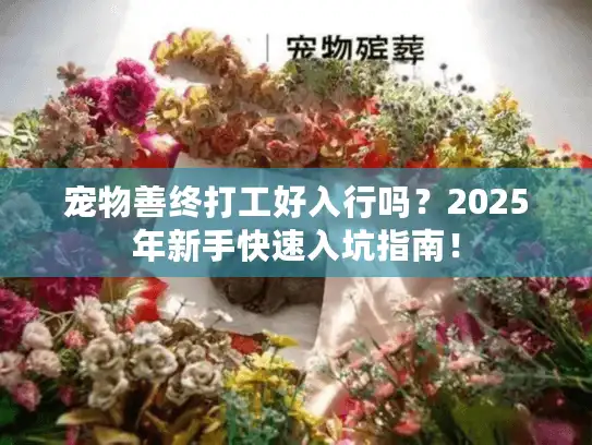 宠物善终打工好入行吗？2025年新手快速入坑指南！
