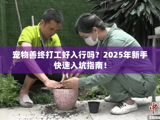 宠物善终打工好入行吗？2025年新手快速入坑指南！