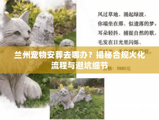 兰州宠物安葬去哪办？揭秘合规火化流程与避坑细节