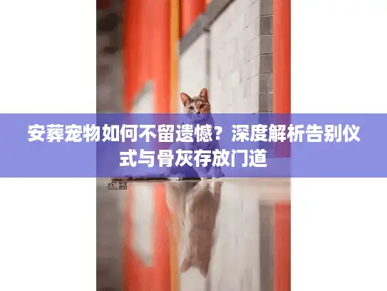 安葬宠物如何不留遗憾？深度解析告别仪式与骨灰存放门道