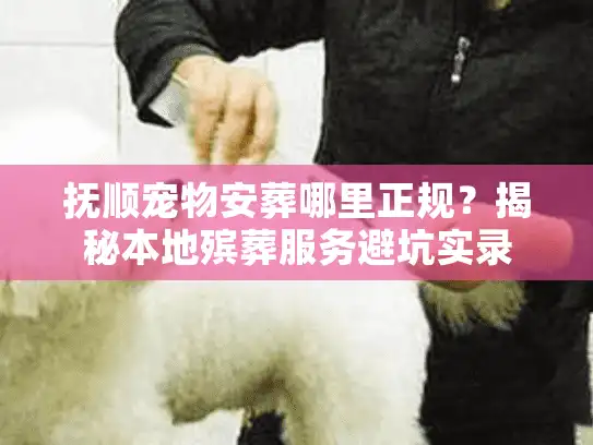 抚顺宠物安葬哪里正规？揭秘本地殡葬服务避坑实录