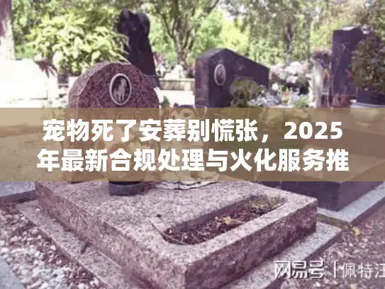 宠物死了安葬别慌张，2025年最新合规处理与火化服务推荐