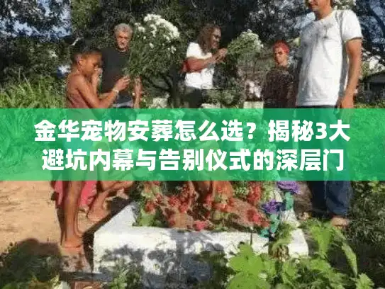 金华宠物安葬怎么选？揭秘3大避坑内幕与告别仪式的深层门道
