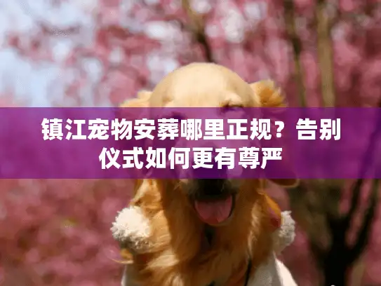 镇江宠物安葬哪里正规？告别仪式如何更有尊严