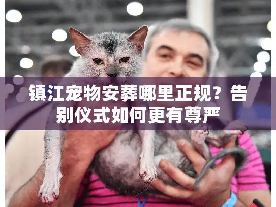 镇江宠物安葬哪里正规？告别仪式如何更有尊严