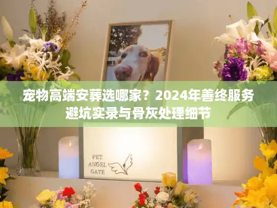 宠物高端安葬选哪家？2024年善终服务避坑实录与骨灰处理细节
