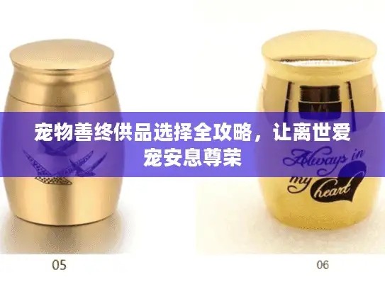 宠物善终供品选择全攻略，让离世爱宠安息尊荣