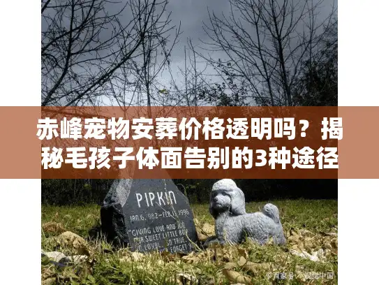 赤峰宠物安葬价格透明吗？揭秘毛孩子体面告别的3种途径