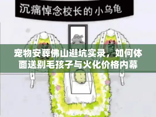 宠物安葬佛山避坑实录，如何体面送别毛孩子与火化价格内幕