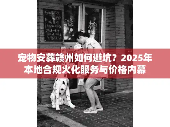 宠物安葬赣州如何避坑？2025年本地合规火化服务与价格内幕