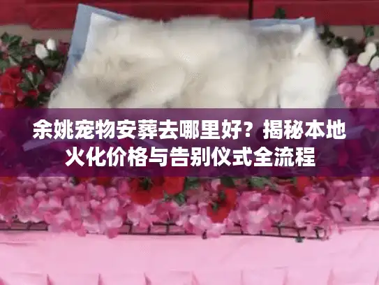 余姚宠物安葬去哪里好？揭秘本地火化价格与告别仪式全流程