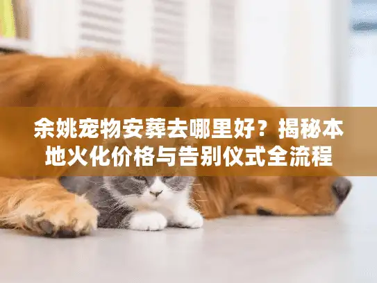 余姚宠物安葬去哪里好？揭秘本地火化价格与告别仪式全流程