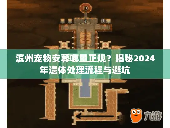 滨州宠物安葬哪里正规？揭秘2024年遗体处理流程与避坑