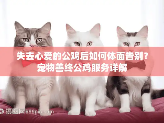 失去心爱的公鸡后如何体面告别？宠物善终公鸡服务详解