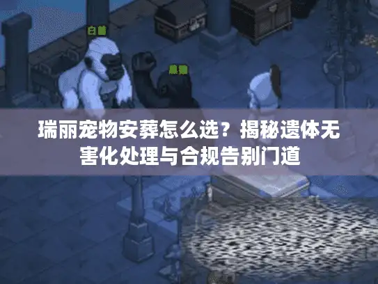 瑞丽宠物安葬怎么选？揭秘遗体无害化处理与合规告别门道