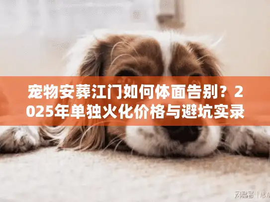 宠物安葬江门如何体面告别？2025年单独火化价格与避坑实录