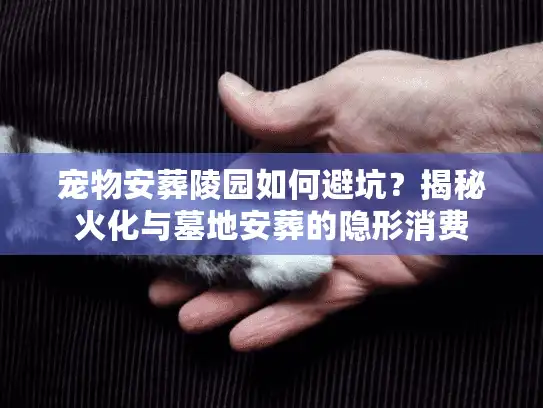宠物安葬陵园如何避坑？揭秘火化与墓地安葬的隐形消费