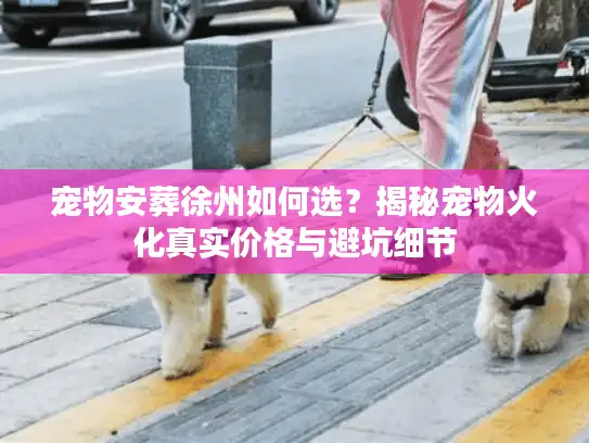宠物安葬徐州如何选？揭秘宠物火化真实价格与避坑细节