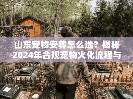 山东宠物安葬怎么选？揭秘2024年合规宠物火化流程与避坑内幕