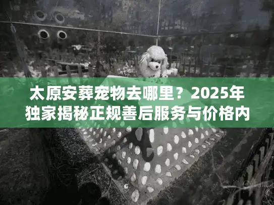 太原安葬宠物去哪里？2025年独家揭秘正规善后服务与价格内幕