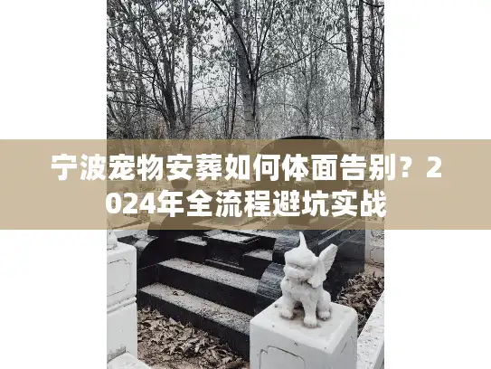 宁波宠物安葬如何体面告别？2024年全流程避坑实战