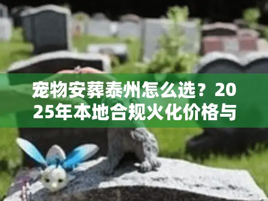宠物安葬泰州怎么选？2025年本地合规火化价格与善后服务避雷